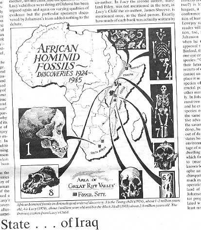 hominid